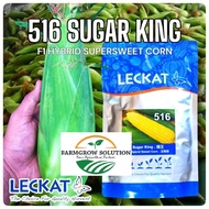 Ready Stock 🤩LECKAT 516 sweet corn sugar rich 200gm