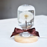 蒲公英浮游花水晶球小夜燈