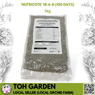 [SG Seller] ‘Nutricote’ Fertilizer 18-6-8 (100 days controlled release fertilizer)