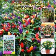 [Fast Germination/COD] 100% Legit Colorful Chili Pepper Seeds for Planting (High germination) High Y