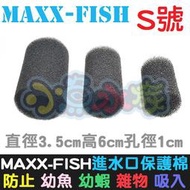 【小魚水族】【MAXXFISH、進水口保護棉套、S號】入水口棉套、保護套、炸彈頭保護套、防止幼魚幼蝦吸入