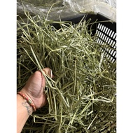 Fish♥️US Timothy Hay - Double Compress -Premium First Cut + Double Compress