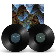 [Broken Music] Wang Wen (Wang Wen) -10,000 Whys (100,000 Whys) (LP)