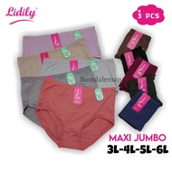 Contents of 3 pcs Lydyly YN248 Maxi Ultra Soft Cd Panties // Large Size 3L-4L-5L-6L
