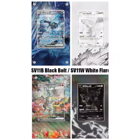 Pokemon Psa Card Display Rack Sv11 All Series BWR SAR Kyurem Reshiram Zekrom Extended Art Display Ca