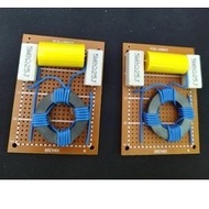 2pcs DIY Single Dividing Network for Tweeter Heavy Duty 500W to 1000W Crossover Tweeter