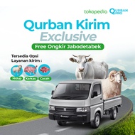 Qurban Kirim - Kurban Domba Kambing Sapi Exclusive