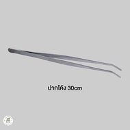 Long Forcep ปากคีบยาว ฟอเซปใหญ่ ฟอร์เซปยาว คีบกระถาง ด้ามตรง สแตนเลส ขนาดยาว 30 cm.