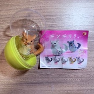 龍貓 扭蛋 Chinchilla Capsule Figure