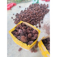 Medium sized dried pine cones, many sizes 4-7cm 1kg 40-50 times