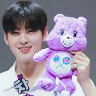 Care Bears 車銀優 同款小熊 🇰🇷韓國直送  Care Bears 公仔  約27cm 🐻超多款🐻 愛心熊  share bear