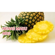 NENAS MADU MD2 HONEY PINEAPPLE (MD2)