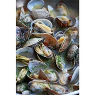 Frozen Asari Clams / Flower Clams/ 500gm