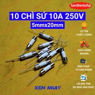 10 PCS PLUG-PIN CERAMIC FUSES SIZE 5mm x 20mm 10A 250V Fuse 10A 250V Ceramic Fuse