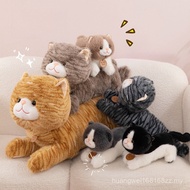 cat plushie real-Cute Cat Toy Doll Cat Doll Simulation Kitten Pillow Children Soothing Ragdoll Gift 