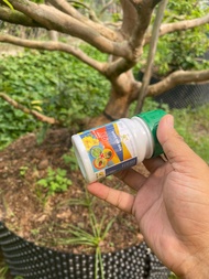 Sâu Mai Bọ Trĩ Nhện Đỏ X3 Hattrick | X6 Hattrick