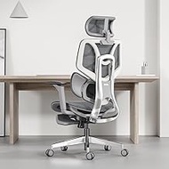 Hbada Ergonomic Office Chair Elastic Adaptive Adjustment Back Lumbar Support Computer Chair, High-Density Breathable Nylon Mesh Aluminum Alloy Bracket Desk Chair with Footrest Grey