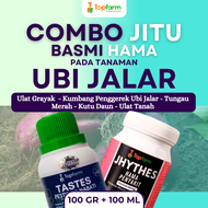 Insektisida Topfarm / Obat Semprot Ubi Jalar / Obat Hama Ubi Jalar Lanas / Obat Semprot Pembesar Ubi
