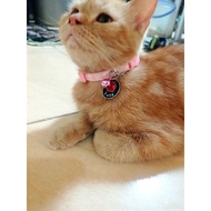 Cat Name Necklace / Custom Cat Name