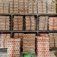 5kg HT local chicken eggs