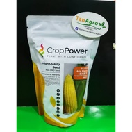 👉🏻ORIGINAL👈🏻 Crop Power F1 Hybrid Sweetcorn Asia Manis SS932 500gm