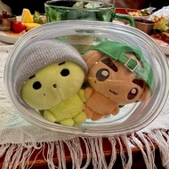 CORTIS Golden Master Training Little Turtle Doll Hanwa Cute Turtle Training Merchandise is 10cm Doll