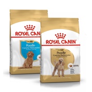 ROYAL CANIN POODLE - Dry grain food specifically for Poodle breeds