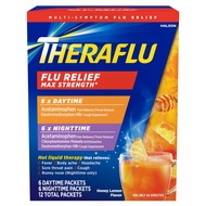 Theraflu Max Strength Daytime Flu Symptom Relief - 6 Ct Plus Max Strength Nighttime Flu Medicine for