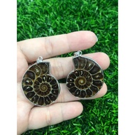 Ammonite Fossil Pendant (1 Pair)