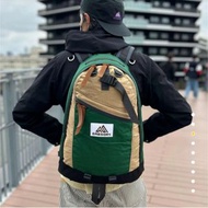 Gregory Day Pack backpack 26L 背包