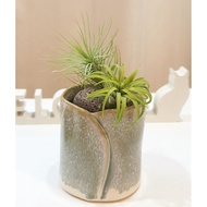 Ceramic Pot - Handcraft | Succulents | Live Plants | Air Plant | Gift | Christmas | Xmas