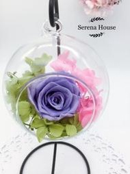 *~Serena House~*不凋花永生花 美女與野獸 母親節禮物香芋紫玫瑰玻璃罩吊飾 婚禮小禮 生日禮物 訂製預購款