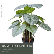 Calathea Orbifolia Faux Plant 55cm - High-Quality Home Decor Artificial Fern Leaf