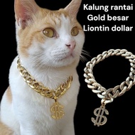 Cat necklace dog necklace large gold chain dollar pendant