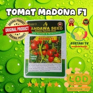 Benih Tomat MADONA F1