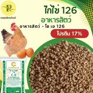 อาหารไก่ไข่126 (โคเอ126) อาหารไก่ไข่ ไก่ไข่ สำหรับไก่ไข่ระยะระยะไข่ อายุ 16 สัปดาห์ขึ้นไป ไก่แจ้