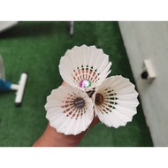 Used shuttlecock Gred A, B & C