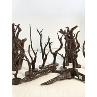 Magnifica Driftwood Decor Display Arts Crafts Drift Wood (Varnished)