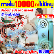 เทคนิคไล่หนูใหม่เยอรมัน เครื่องไล่หนู2024 กำลังไฟสูง ทำร้ายประสาทหนูโดยตรง เครื่องไล่หนูsonic เทคโนโ