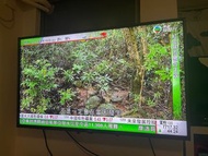 LG 43” TV UM7400PCA
