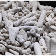 Aquarium Coral Chips With bag (1 Pack 500g)  Used to buffer aquarium water pH and increase hardness 