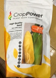 Benih Jagung Manis Crop Power SS932 F1 Hybrid 500gm - Sweet Corn Seed