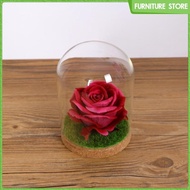 [Wishshopeelxj] Cover Cloche Bell Jar with Wedding Parties Decorations Miniatures Craft