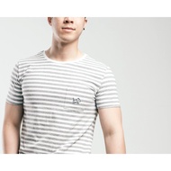 Beagle - Men Adult Grey