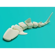 3D printed House Fish toy model, children's toy model, shark model, whale model