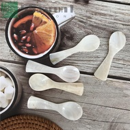 AARON1 Teaspoon Natural Seashells Conch Coffee Scoop