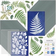 Sun Print Paper Kit Cyanotype Paper 32 Sheets Cyanotype Paper With 2 Sheet Acrylic Panel Green For A