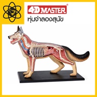 4D Vision 4D Dog Model
