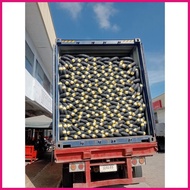 ◷ ◲ PIRELLI ANGEL CITY ( TUBELESS TIRE ) FREE TIRE PAINT FOR EVERY PURCHASE OF PIRELLI TIRES