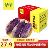 绿行者 紫薯 2.5kg 当季现挖红薯 代餐粗粮 新鲜时令蔬菜烤红薯 软糯香甜紫地瓜 紫薯 5斤